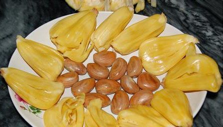 菠萝蜜核
