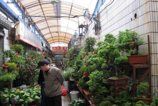 花市老板经常说的8大谎言 花市老板经常说的8大谎言