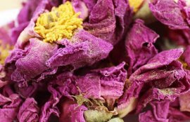 芙蓉花茶的功效与作用(芙蓉花茶的功效与禁忌)