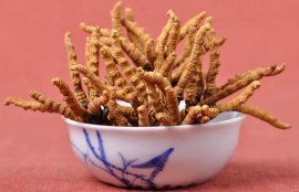 冬虫夏草小孩可以吃吗？(冬虫夏草放了10年还能吃吗)