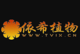 樱花草的花语：除你之外别无他爱。