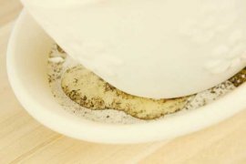 <b>小丽花的养殖方法和注意事项</b>