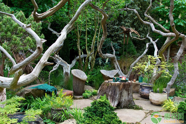 园林植物冬季养护管理