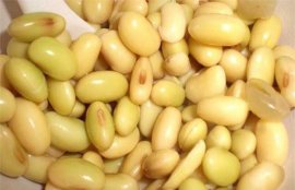 煮黄豆的家常做法(怎样煮黄豆好吃又简单窍门)