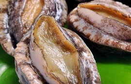 干鲍鱼的泡发方法(鲍鱼干怎么泡发简易快)
