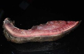 野猪肉怎么做好吃？