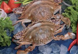 螃蟹不能和什么一起吃(螃蟹与哪些食物相克)