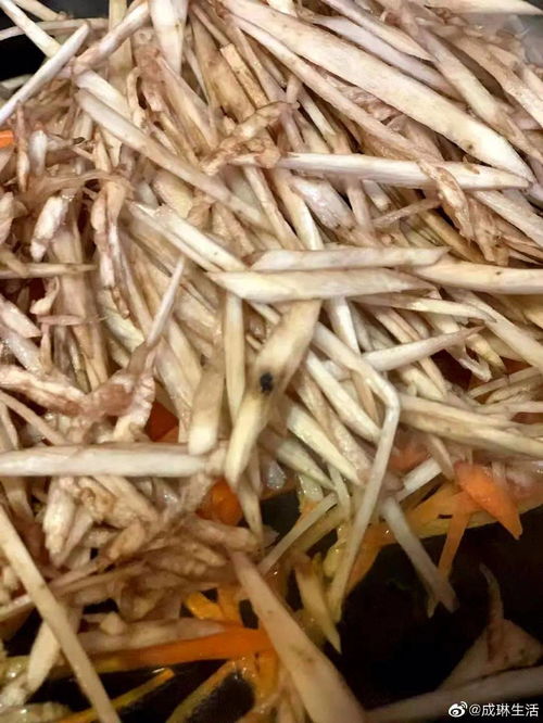 牛蒡是什么意思或东西