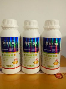 红蜘蛛用什么药最有效
