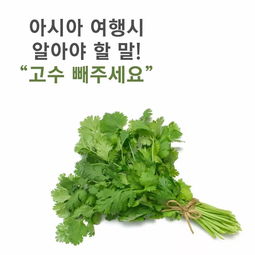 香菜尽量少吃最好不吃