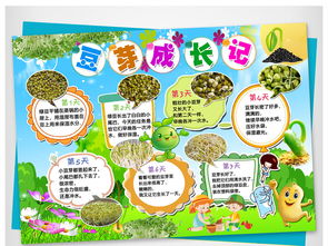 黄豆生长全过程图片