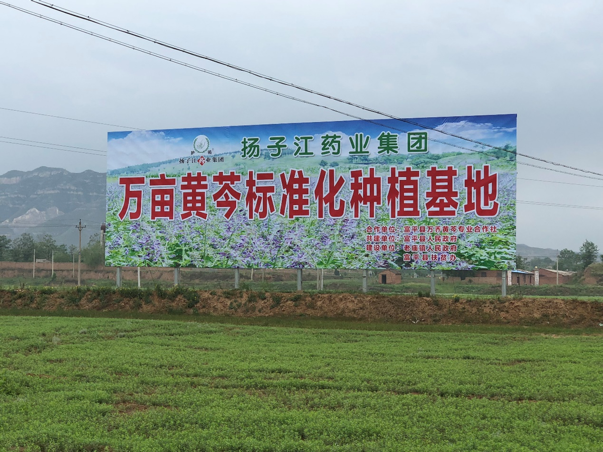 “风水宝地”秤架:生态美产业绿百姓富